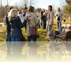 Januar-Spaziergang in Graefelfing Richtung Pasing